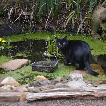 A La Campagne 住宿加早餐酒店 *