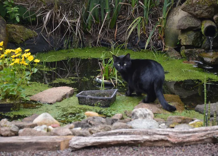 A La Campagne Panzió *